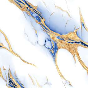 ARNA 60X60 CANISSA BLUE GOLD